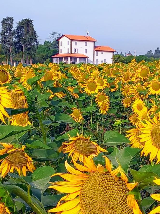 La Collinetta Frühstückspension *